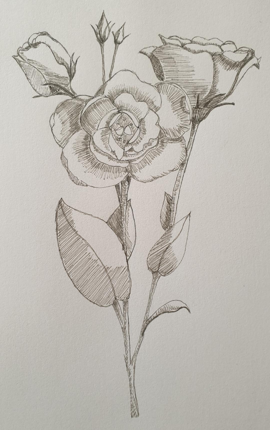 Creating a mixed media Floral Artwork using Pencils, Pens and Colored Pencils - image 2 - student project