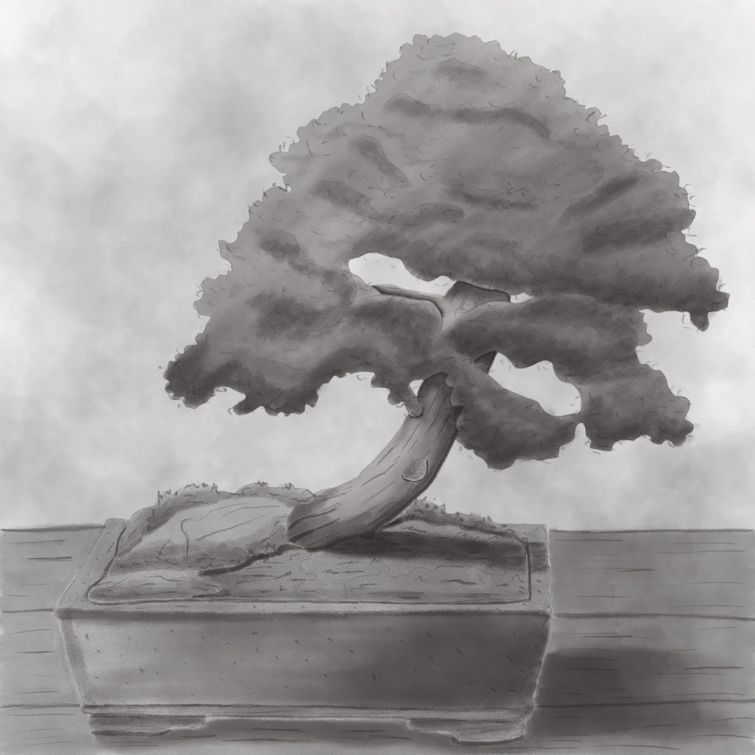 Semi realistic bonsai tree in Procreate - image 1 - student project