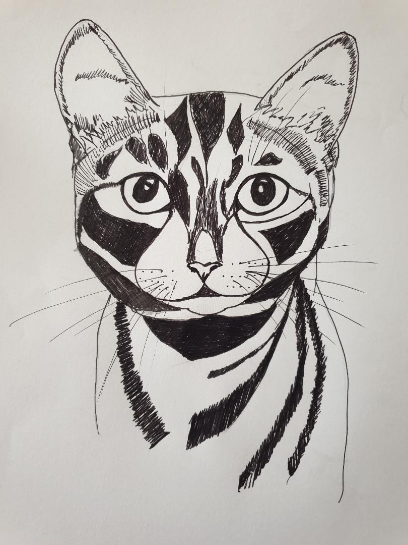Animal study: drawing cats - image 5 - student project
