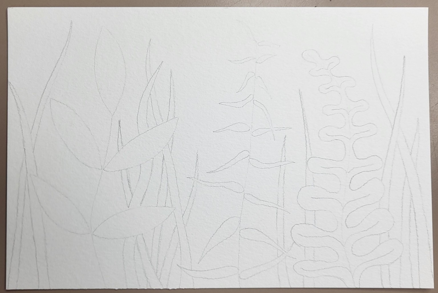 #SummerDreamScholarship2023 Leaf Painting - image 1 - student project