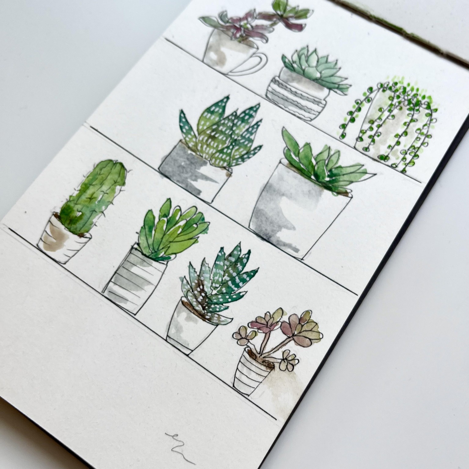 Potted Succulents - image 1 - student project