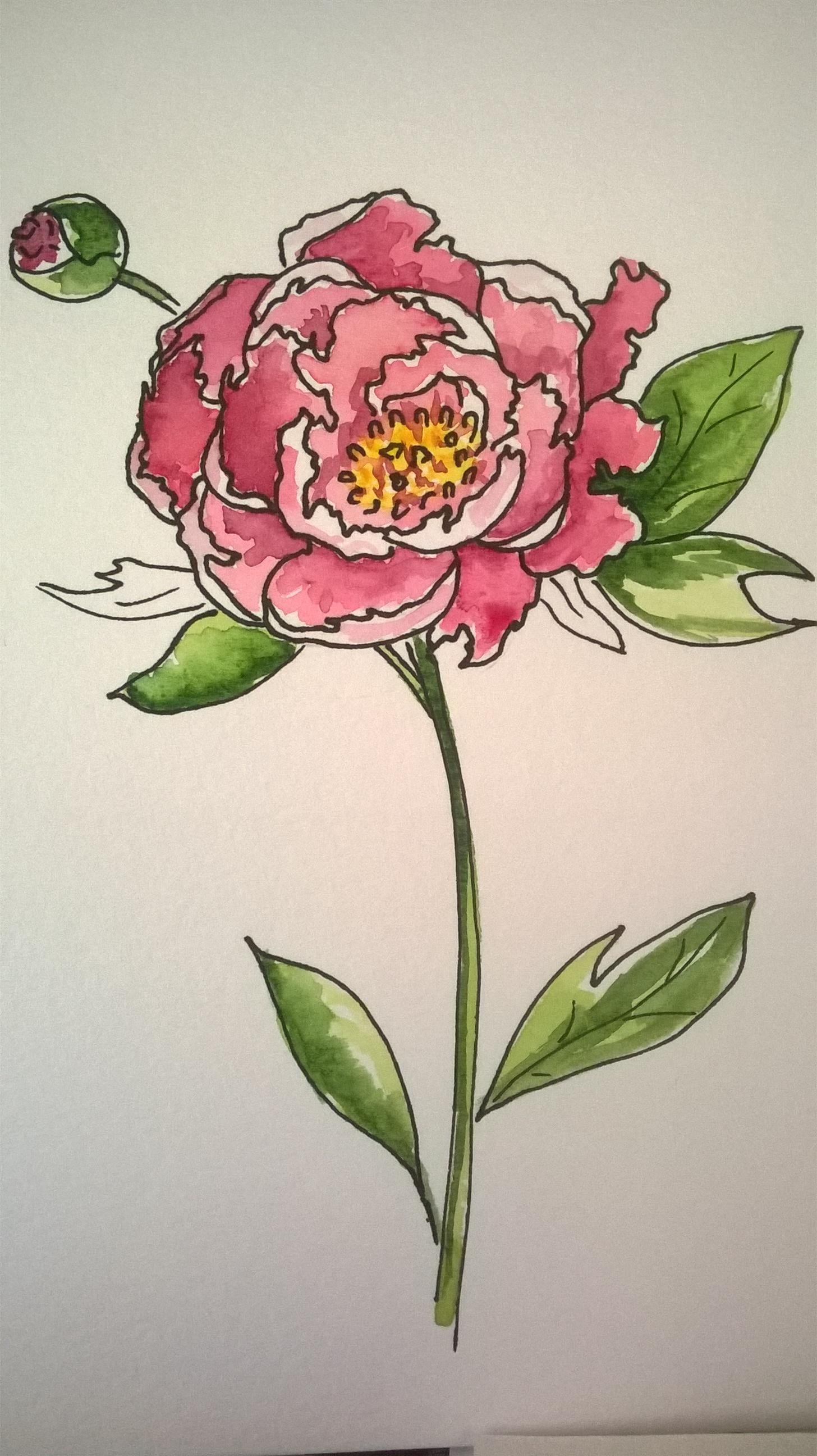 My Peony - image 2 - student project