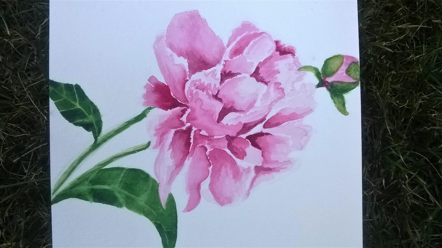 My Peony - image 3 - student project