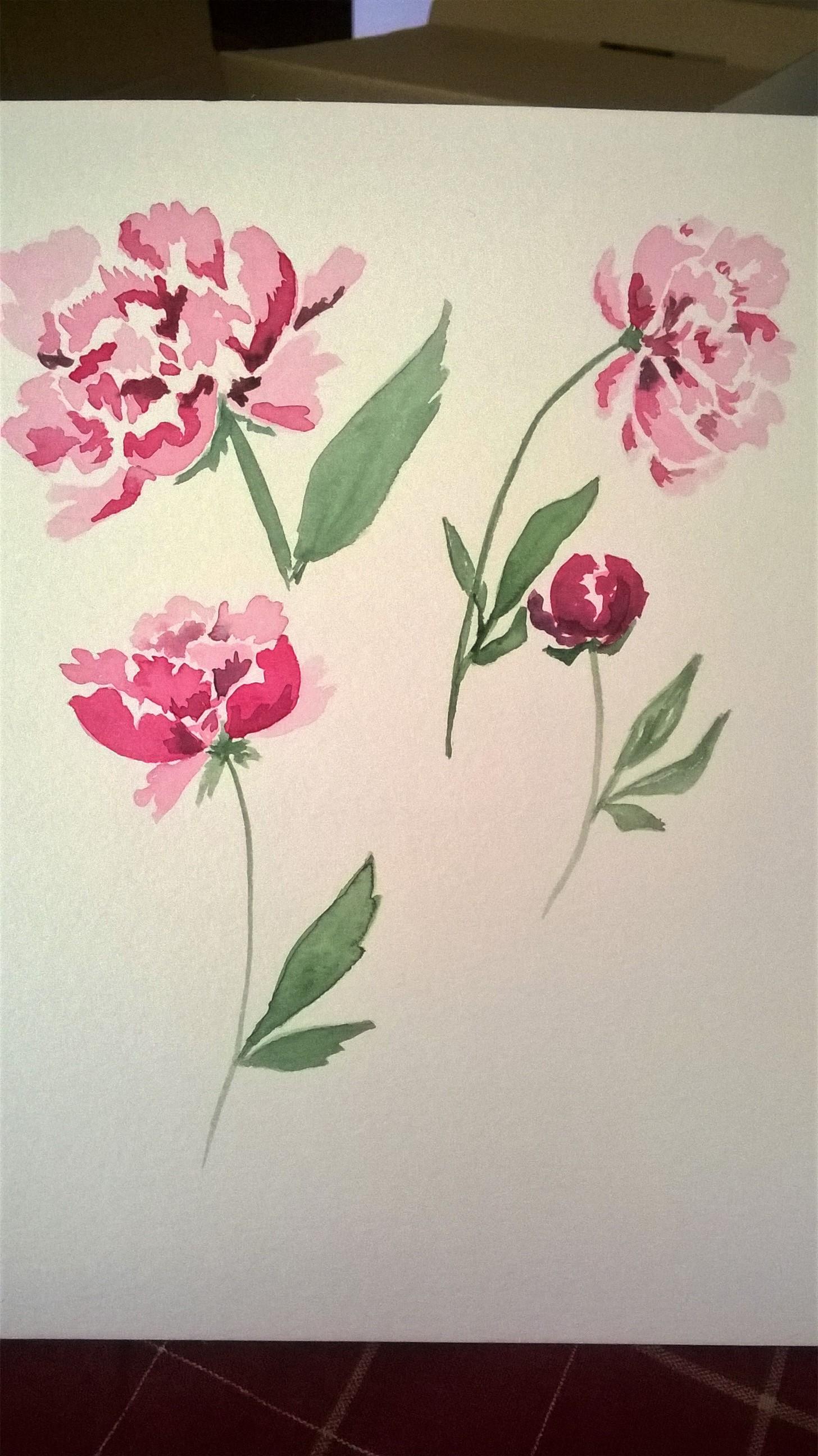My Peony - image 4 - student project