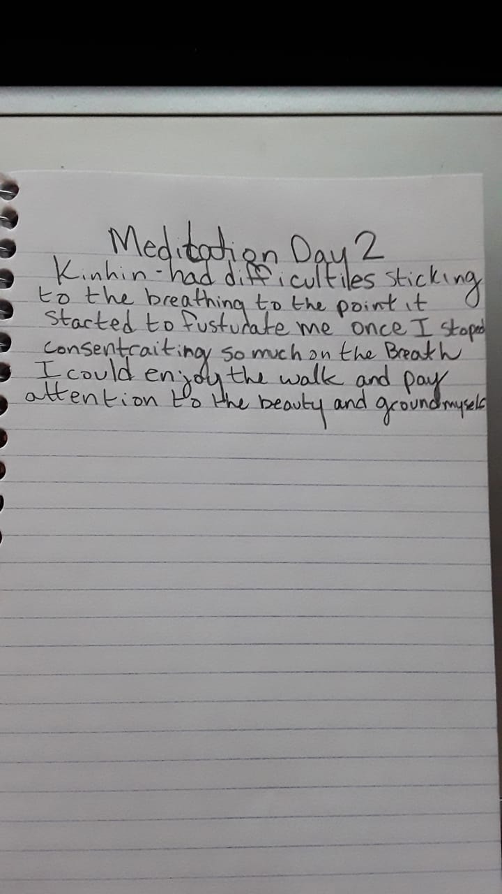 my 21 days of meditation - image 2 - student project