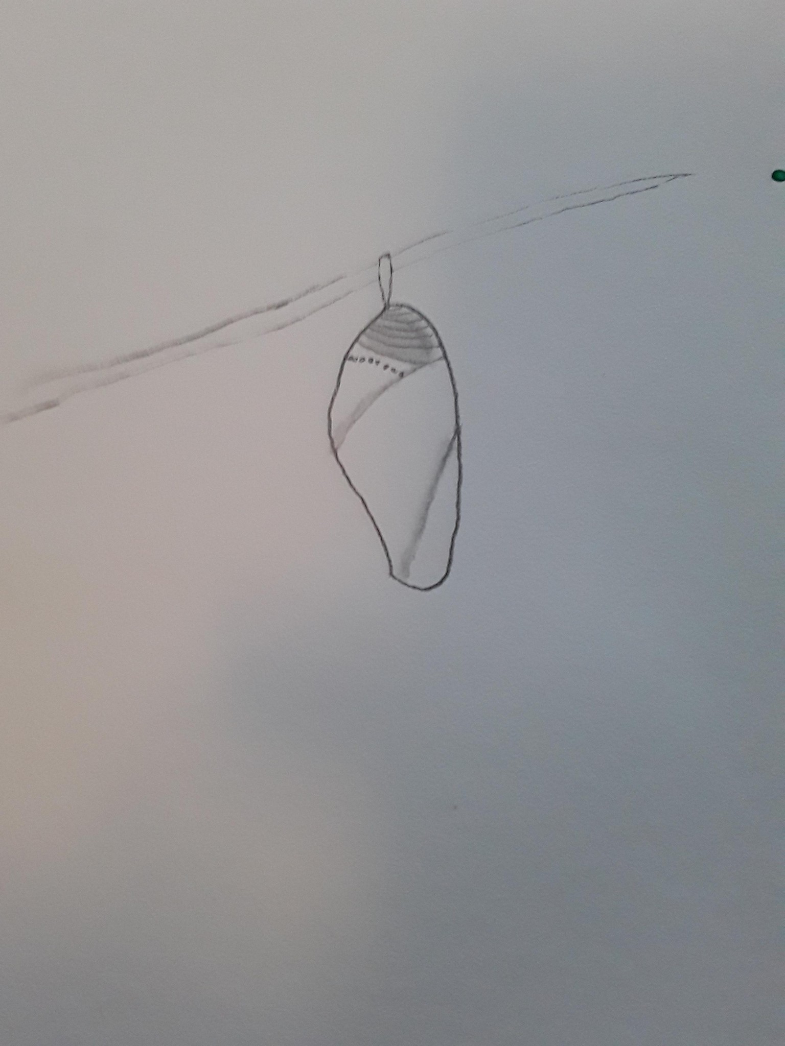 fearless art - image 5 - student project