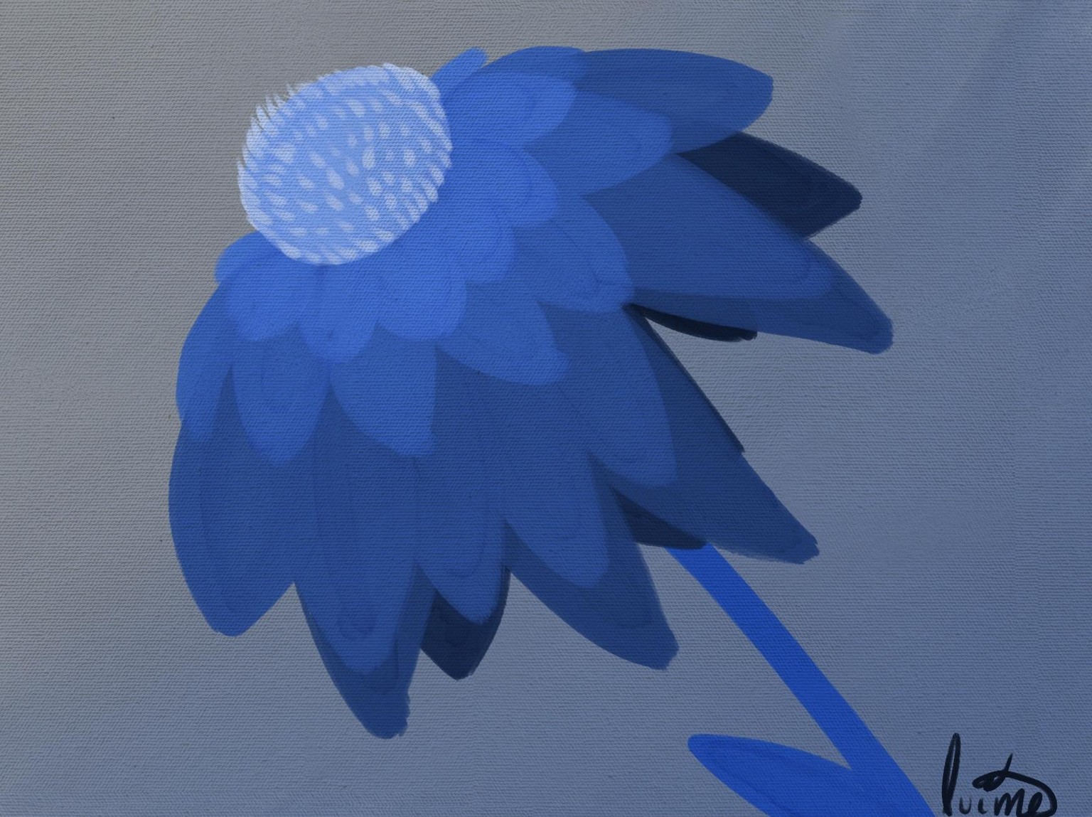fun with color - image 7 - student project