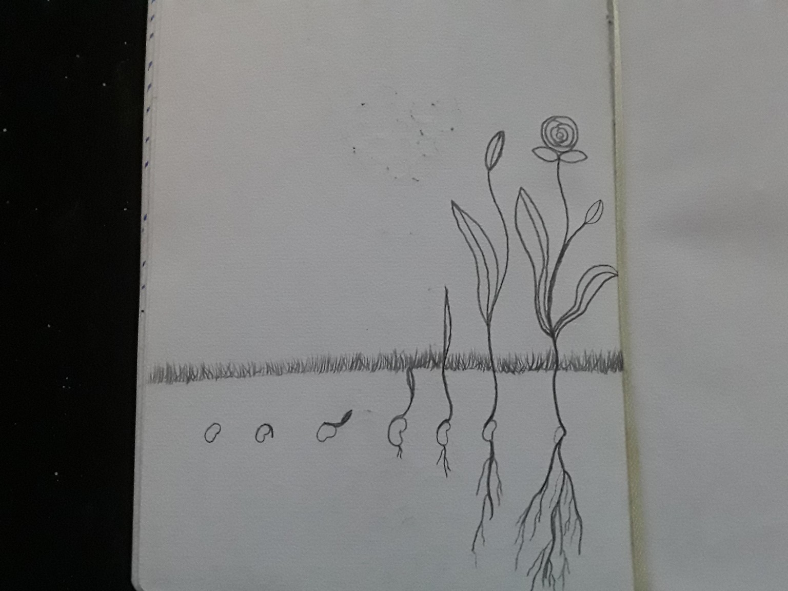 sketchbook magic 2 - image 2 - student project