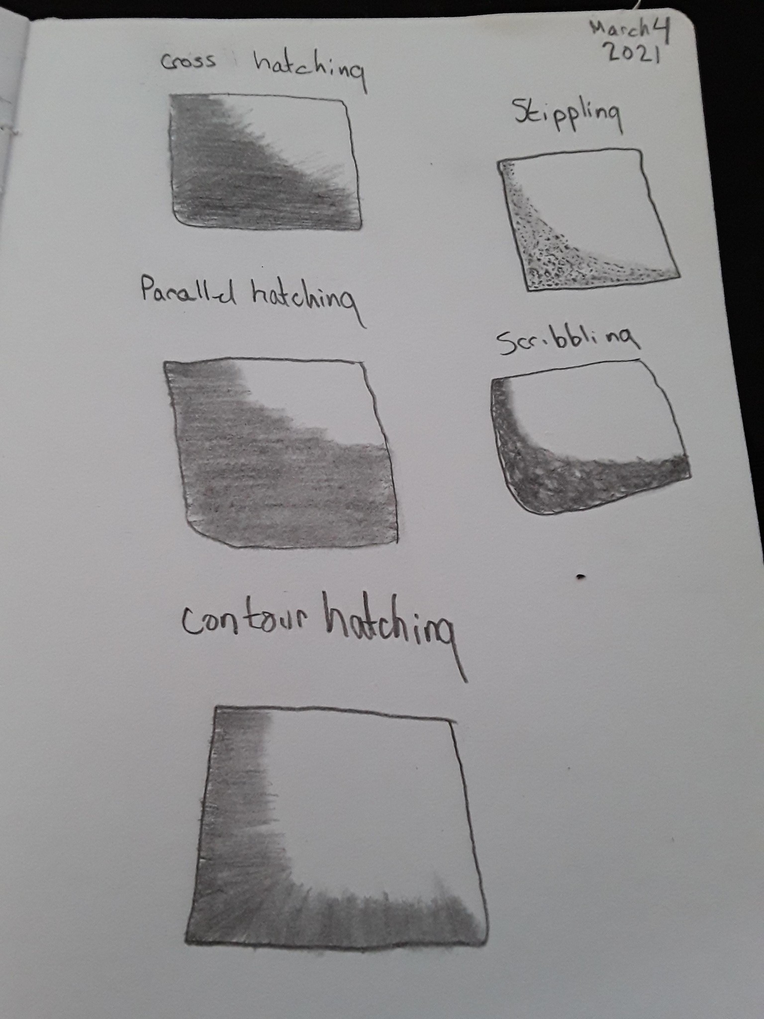 pencil drawing- basics - image 6 - student project