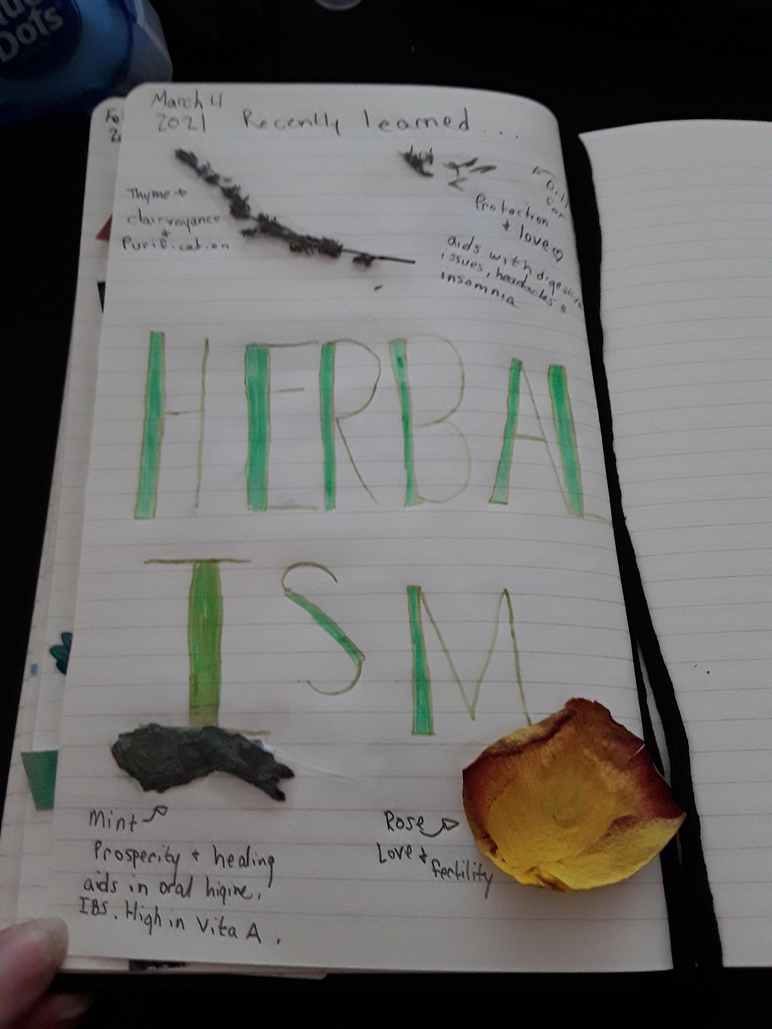 14 day art journaling challenge - image 2 - student project