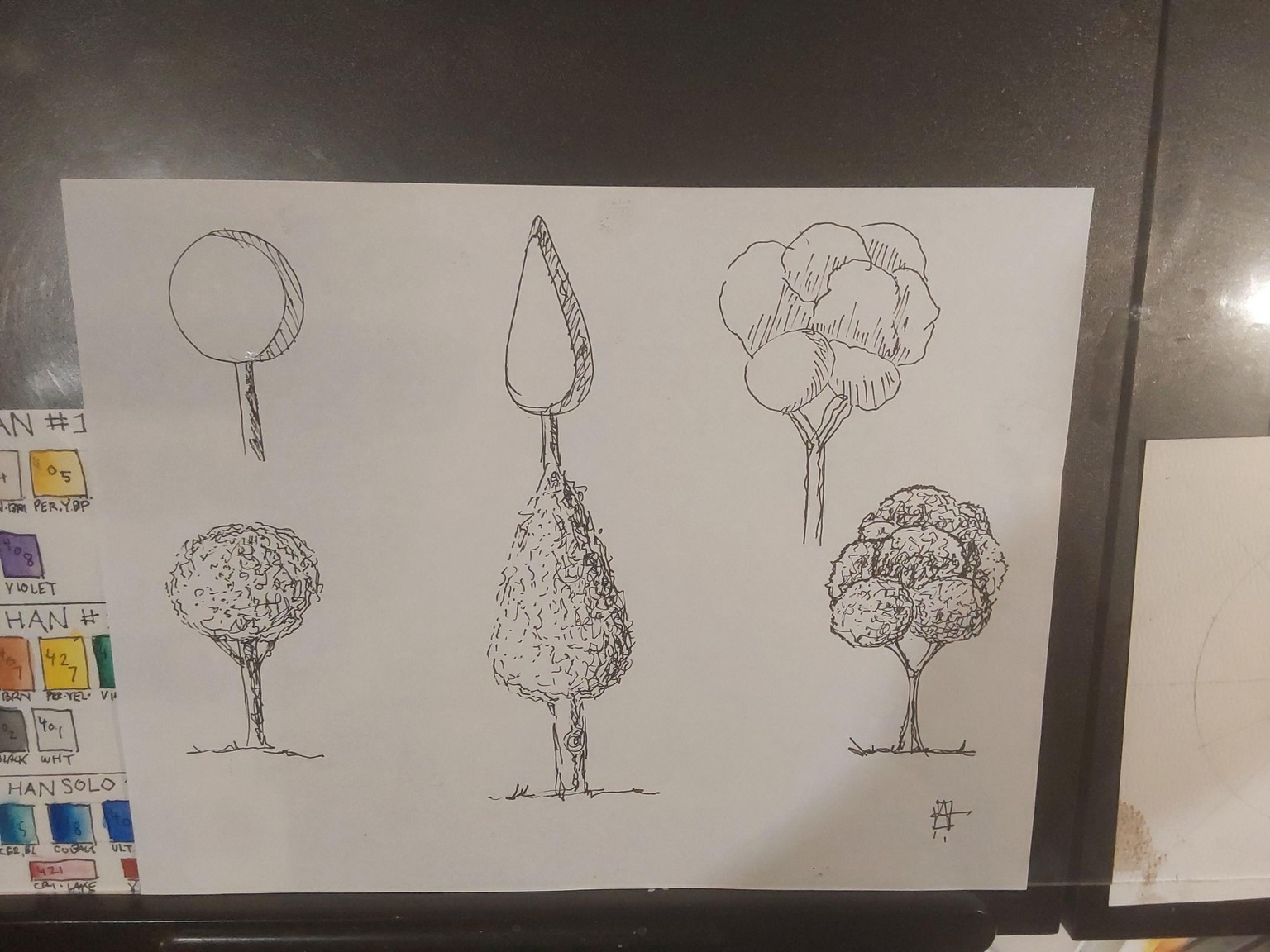 Trees trees trees - image 2 - student project