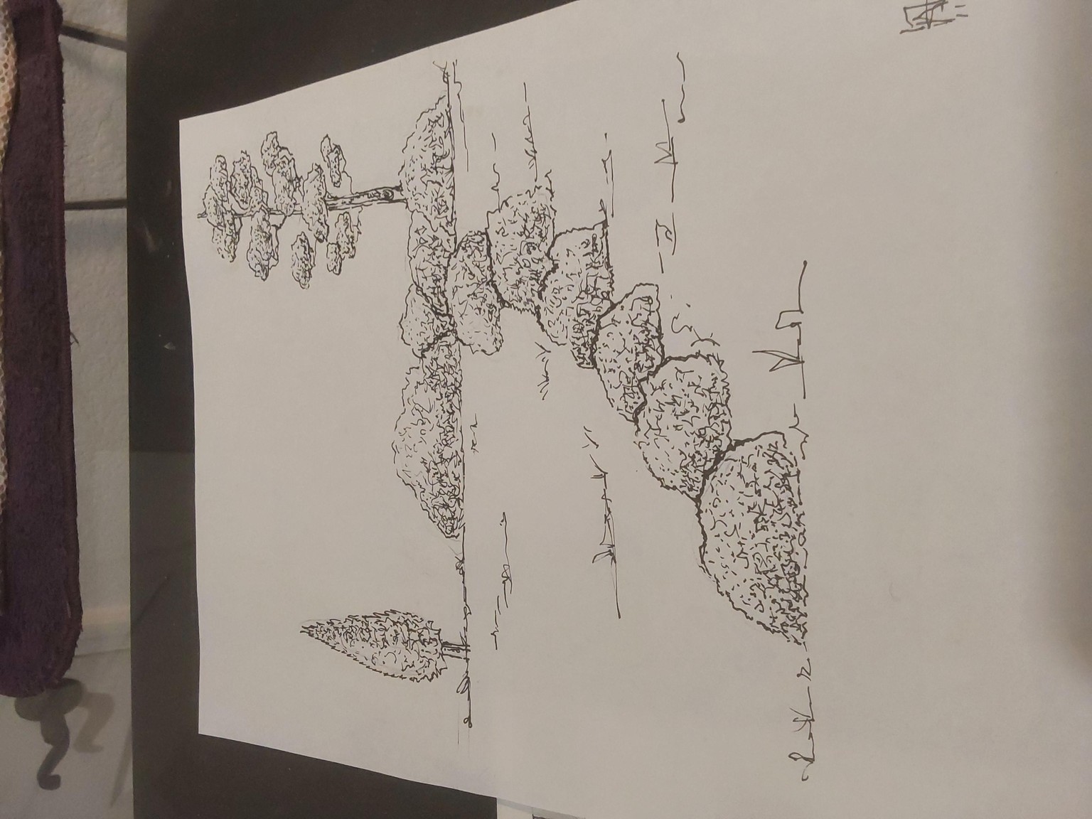Trees trees trees - image 3 - student project