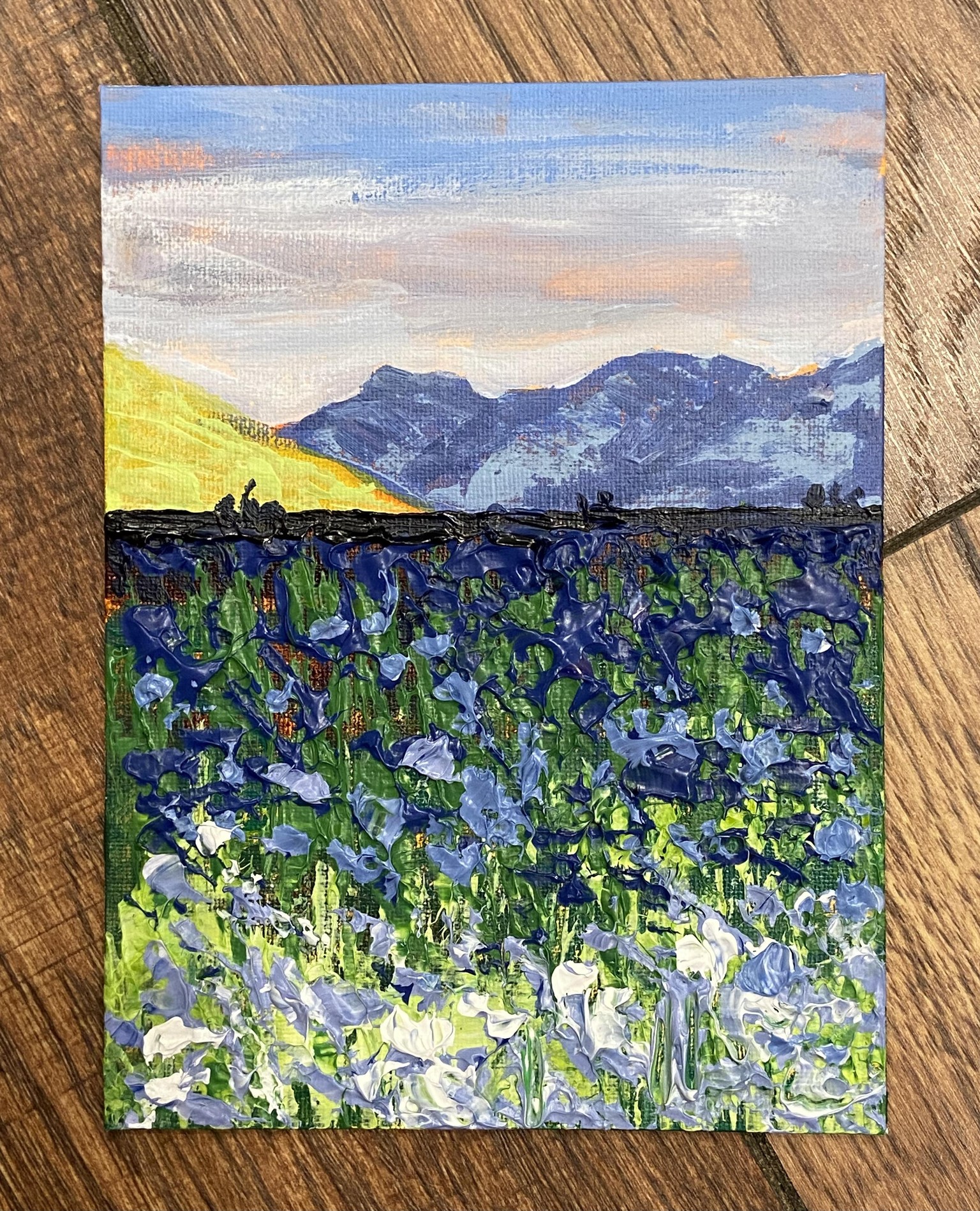 Fun Quick Landscapes - image 1 - student project