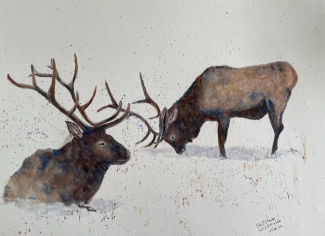 Stags - image 2 - student project