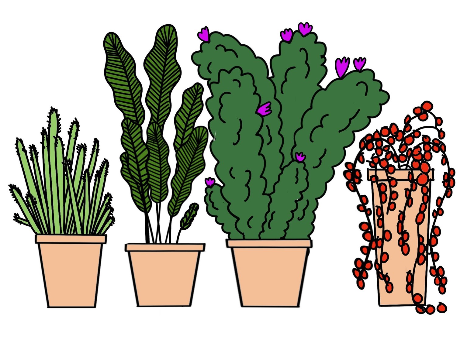 Plants ' - image 1 - student project