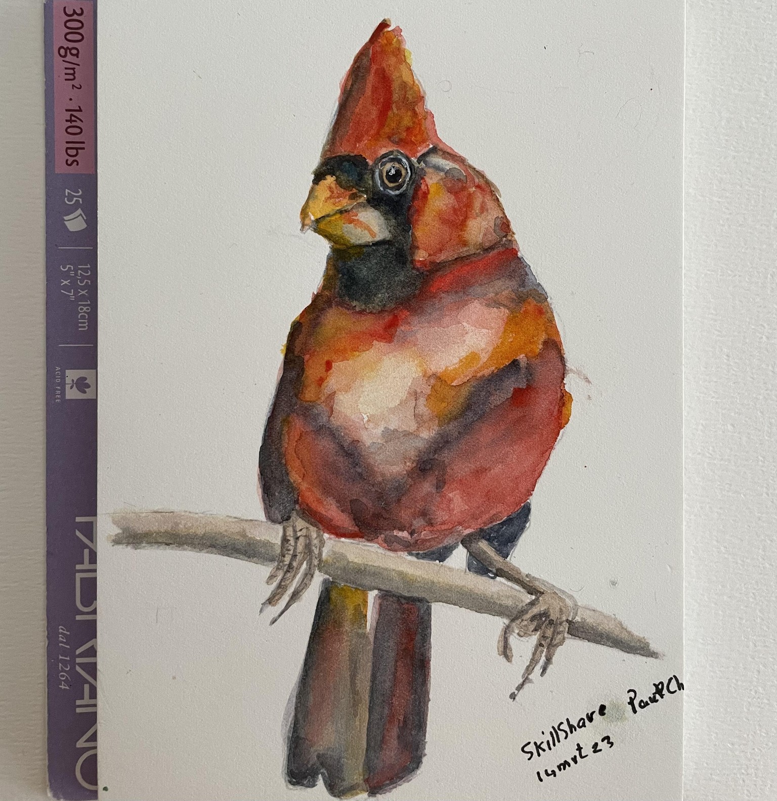 Cardinal - image 1 - student project