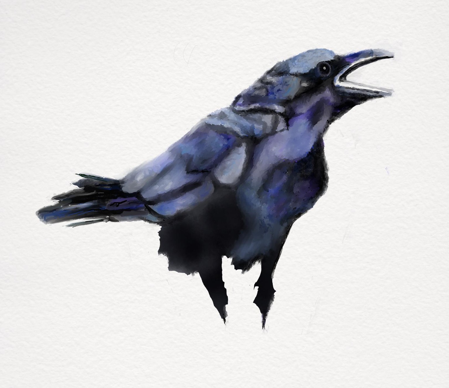10 minute crows - image 1 - student project