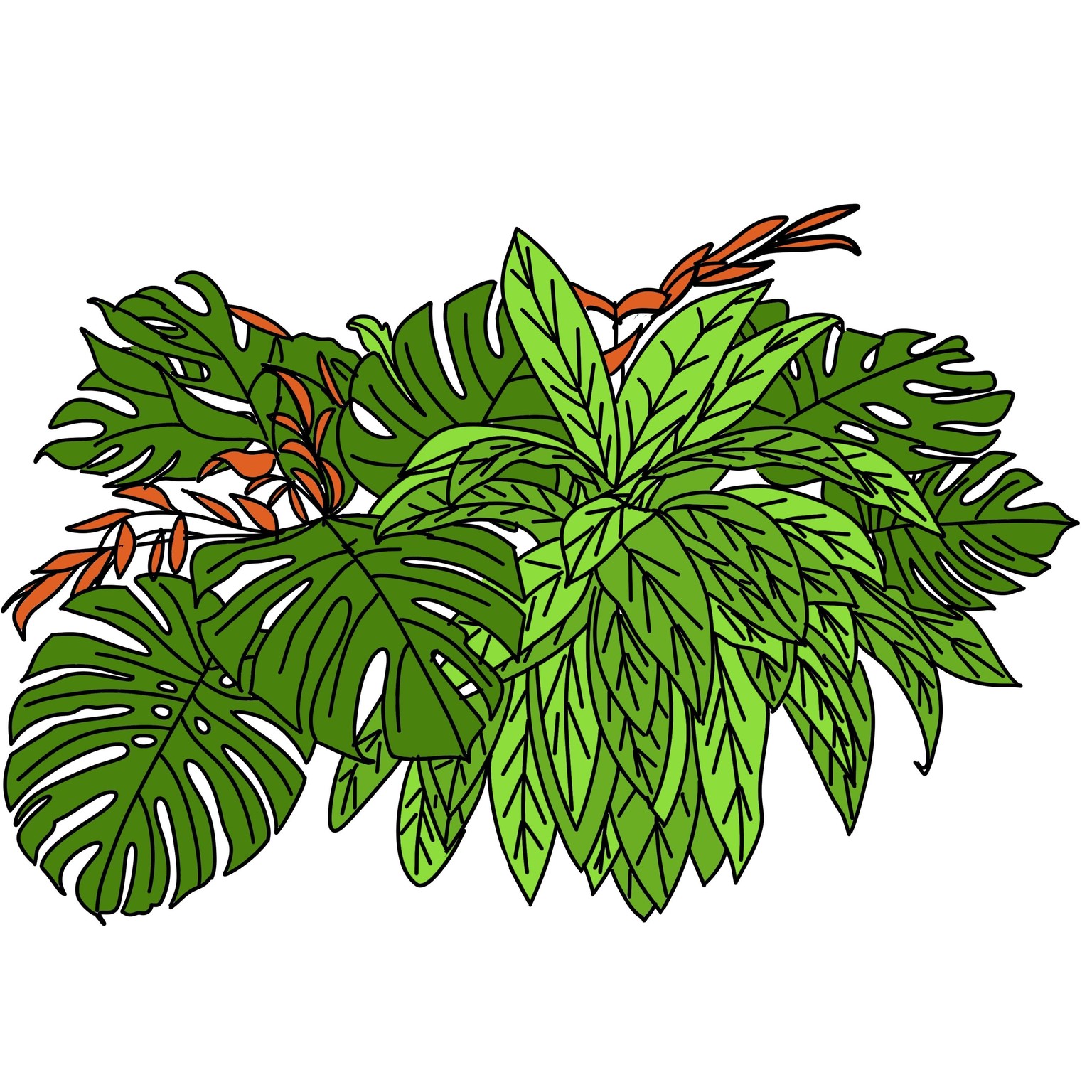 Tropical leaves - image 1 - student project