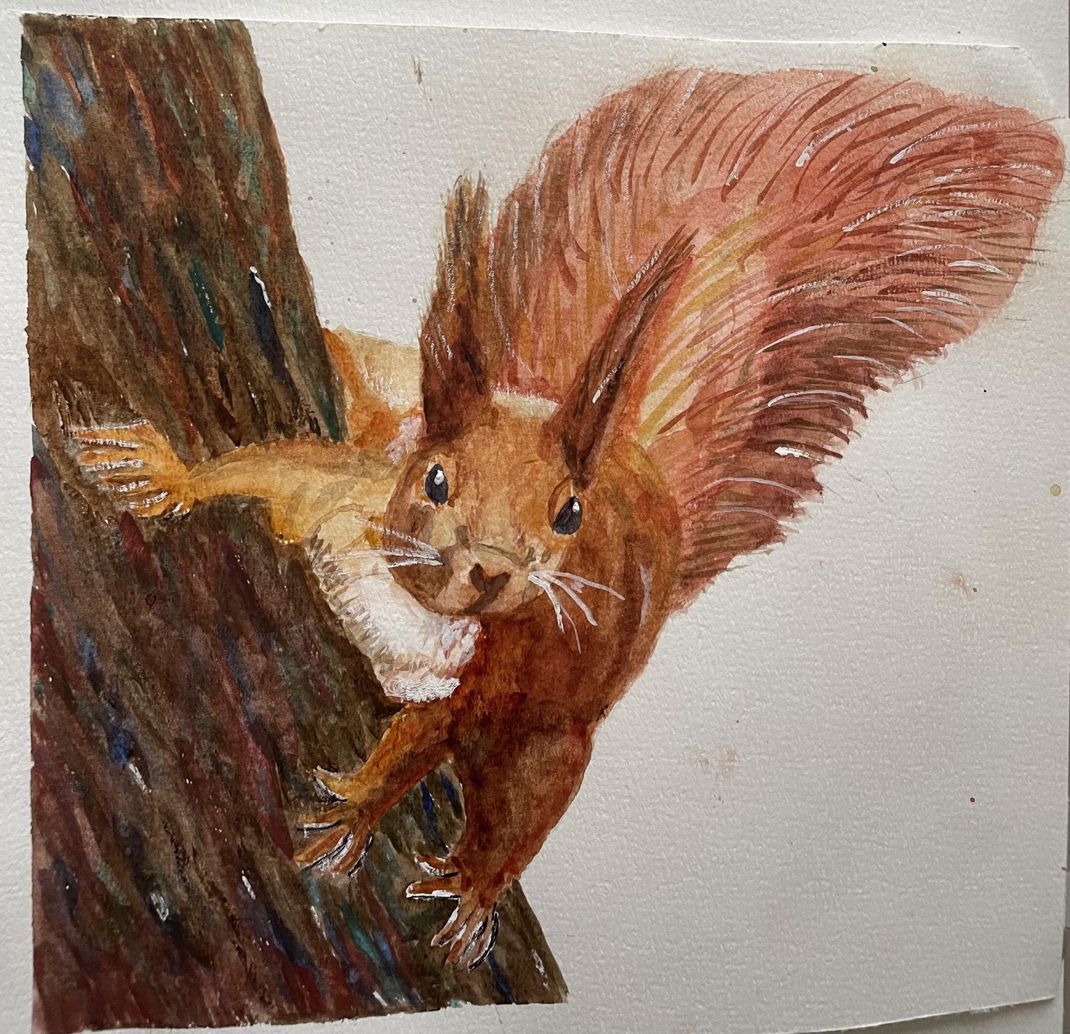 Squirrels - image 1 - student project