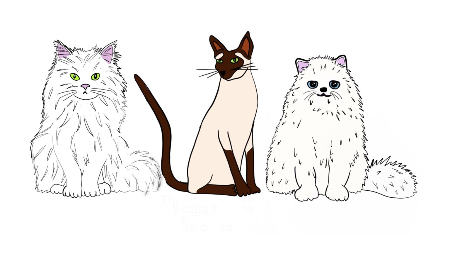 A few more cats and ‘Three minutes’ drawings! - image 1 - student project