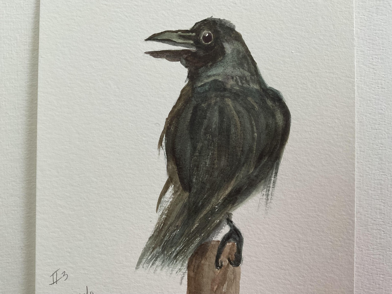 10 minute crows - image 7 - student project