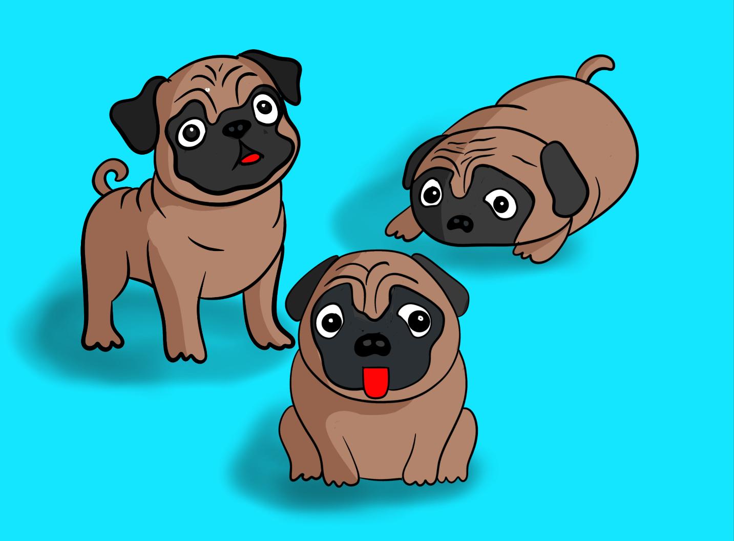 Ollie en pugs and a poodle! - image 4 - student project
