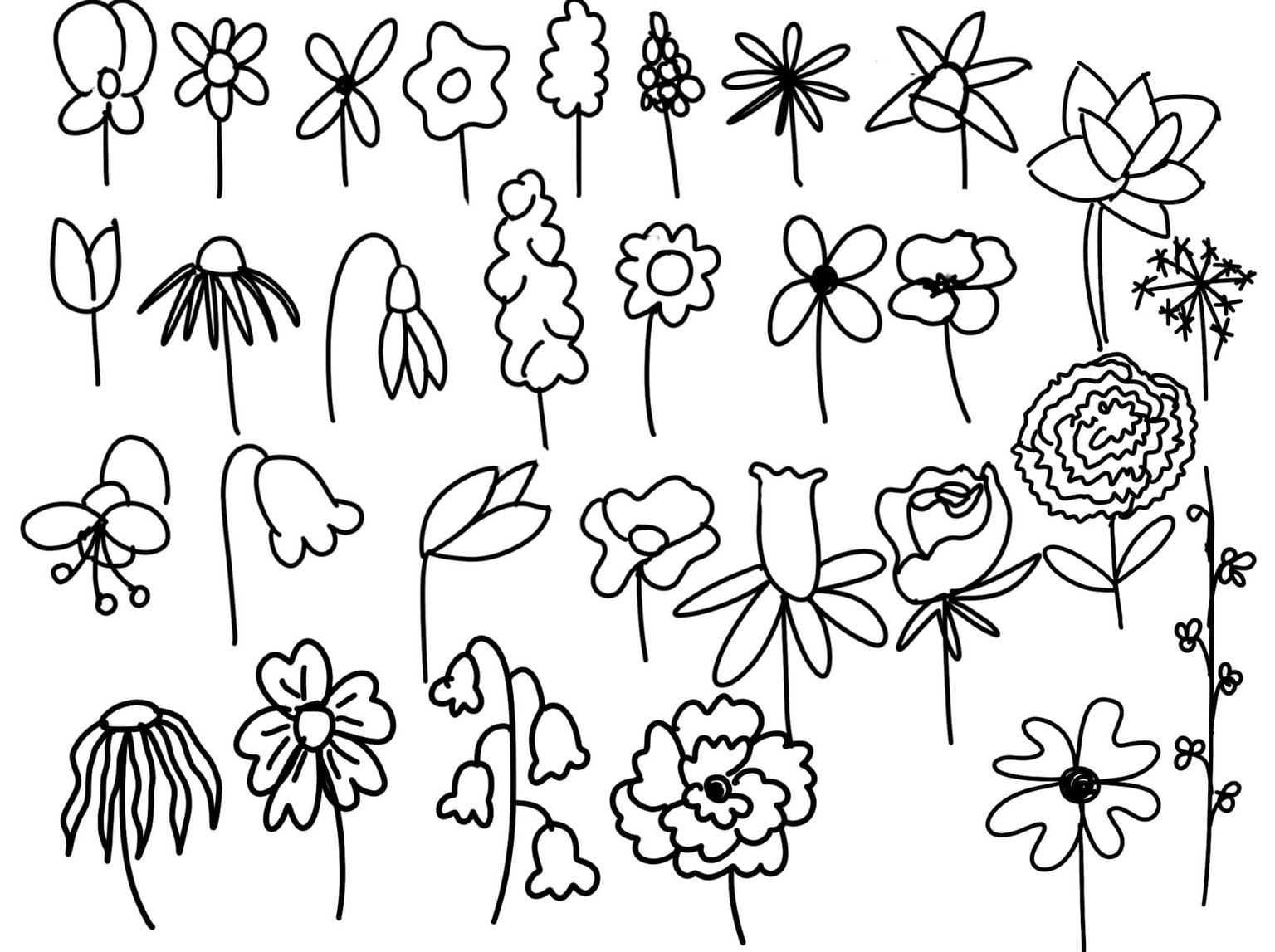Plants ' - image 9 - student project
