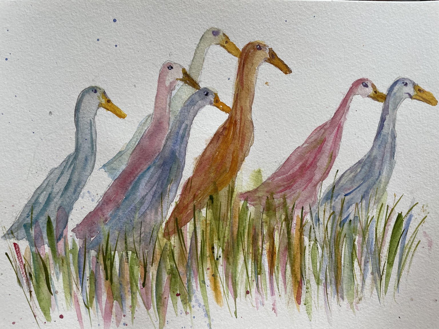 Runner ducks - image 5 - student project