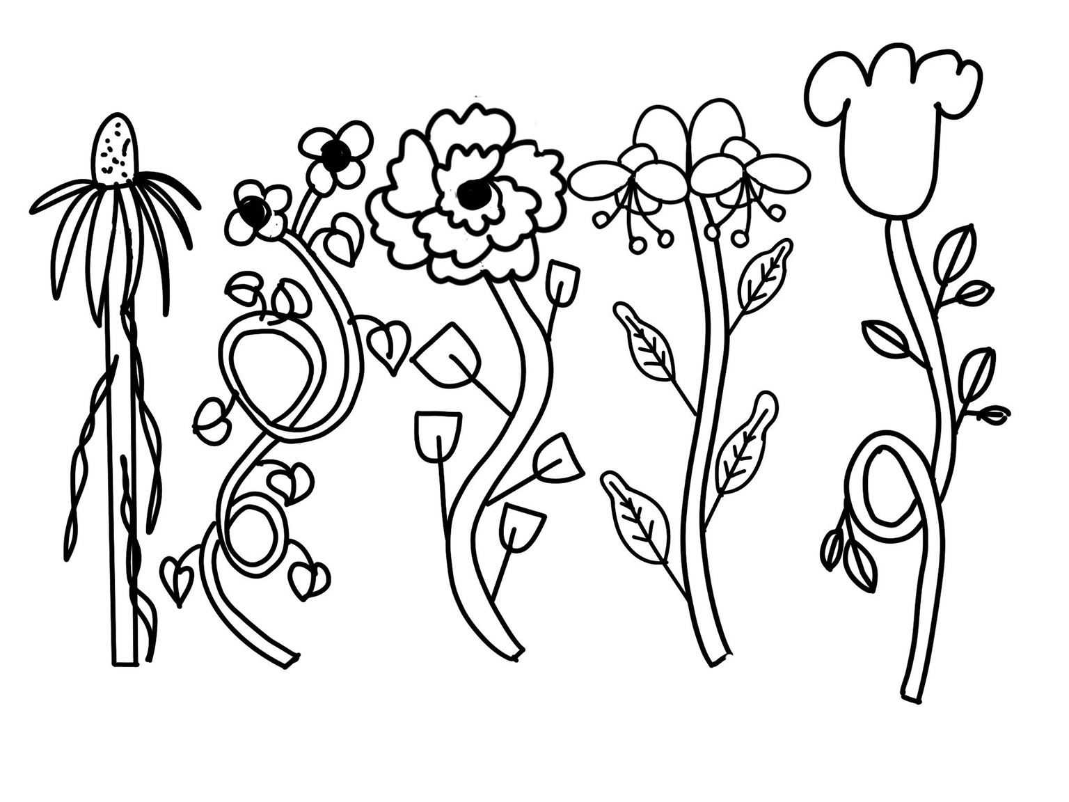 Plants ' - image 4 - student project