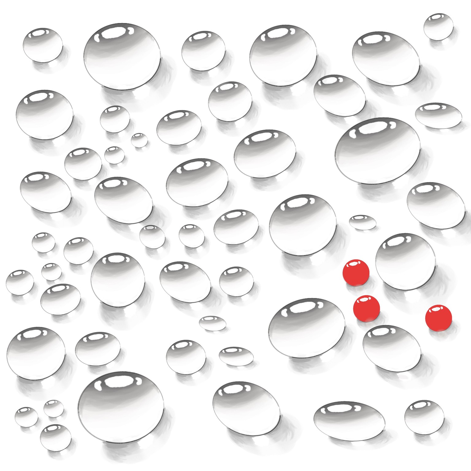 Patterns from nature - image 3 - student project