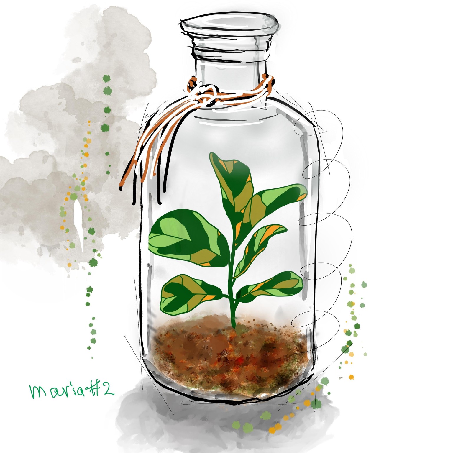 Terrarium - image 1 - student project
