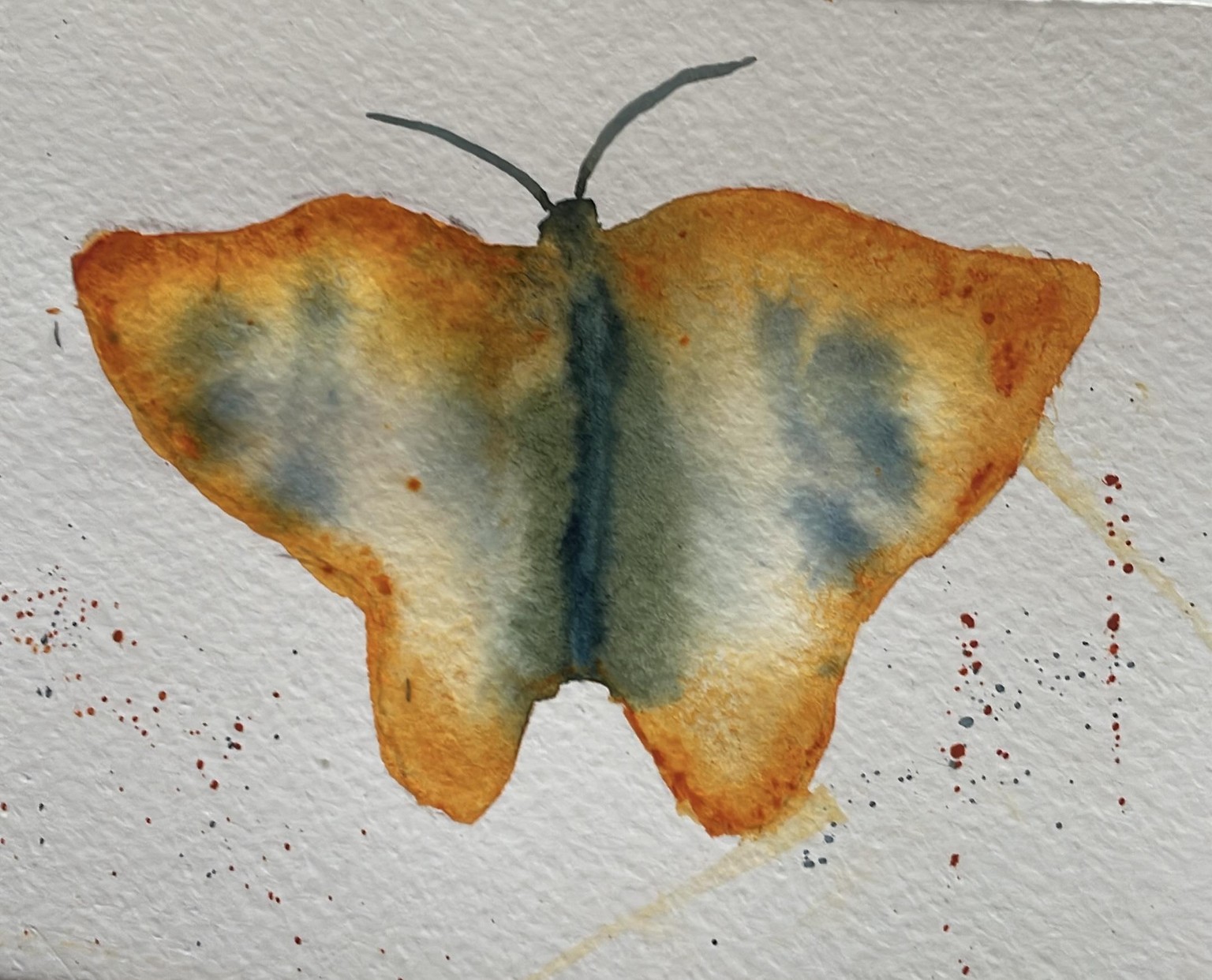Butterflies wet in wet - image 3 - student project