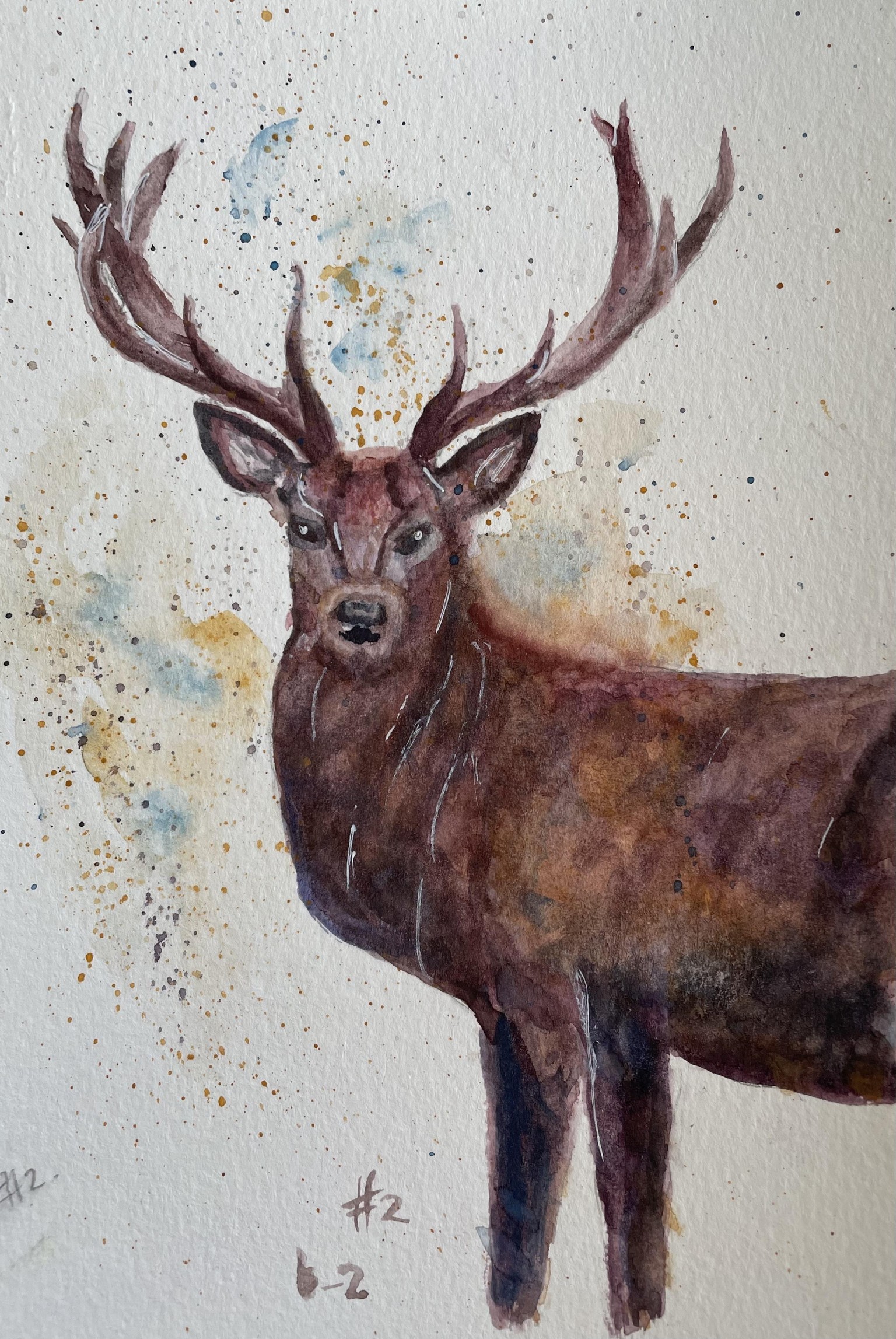 Stags - image 7 - student project