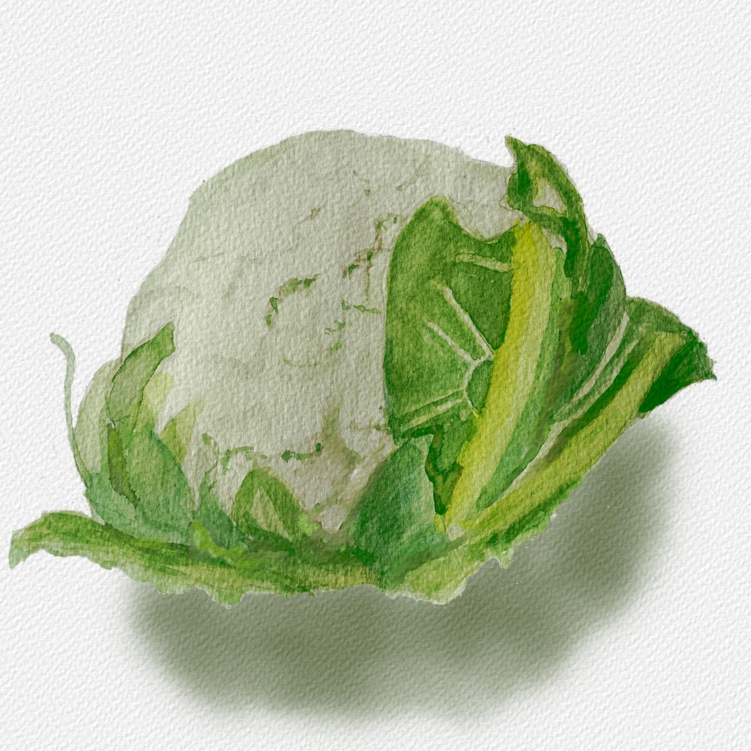 Veggies - image 1 - student project