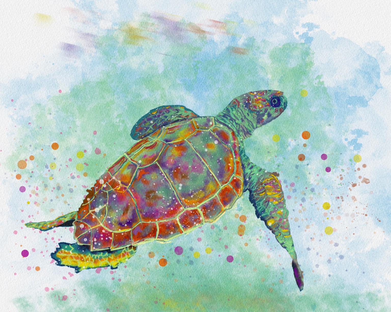 A turtle - image 1 - student project