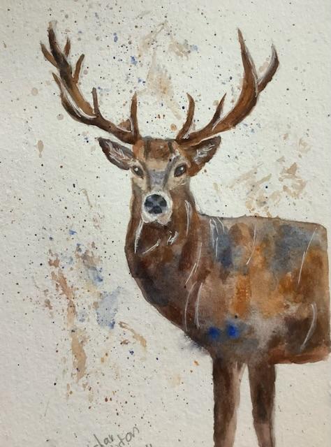 Stags - image 6 - student project