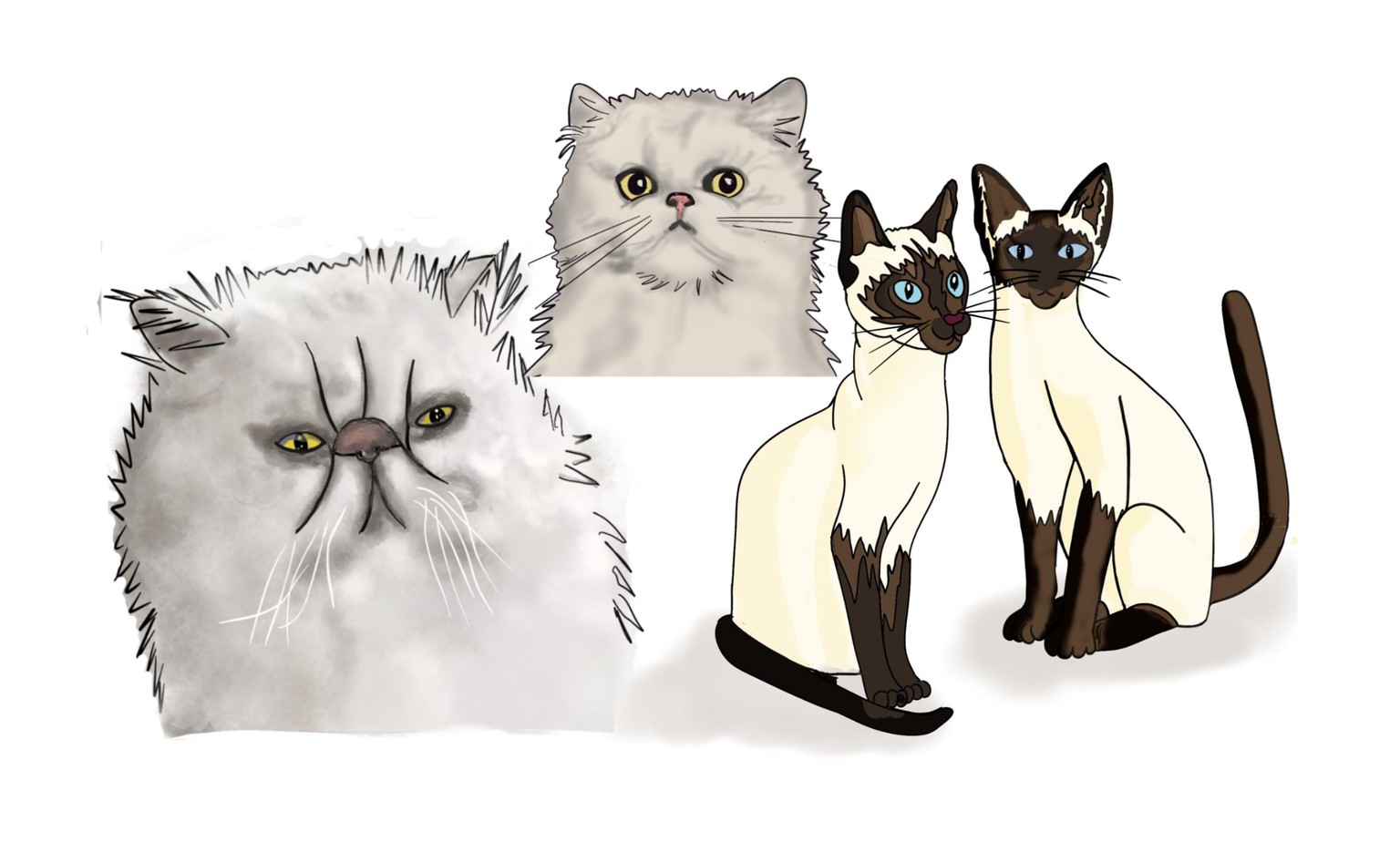 A few more cats and ‘Three minutes’ drawings! - image 3 - student project