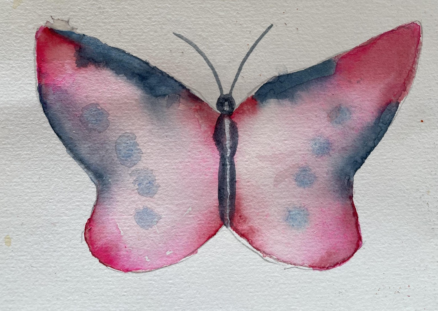Butterflies wet in wet - image 2 - student project