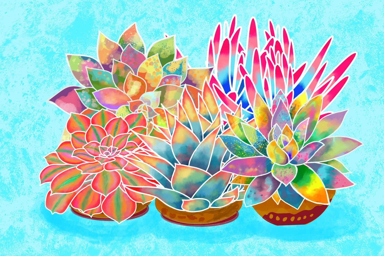 Succulents - image 2 - student project