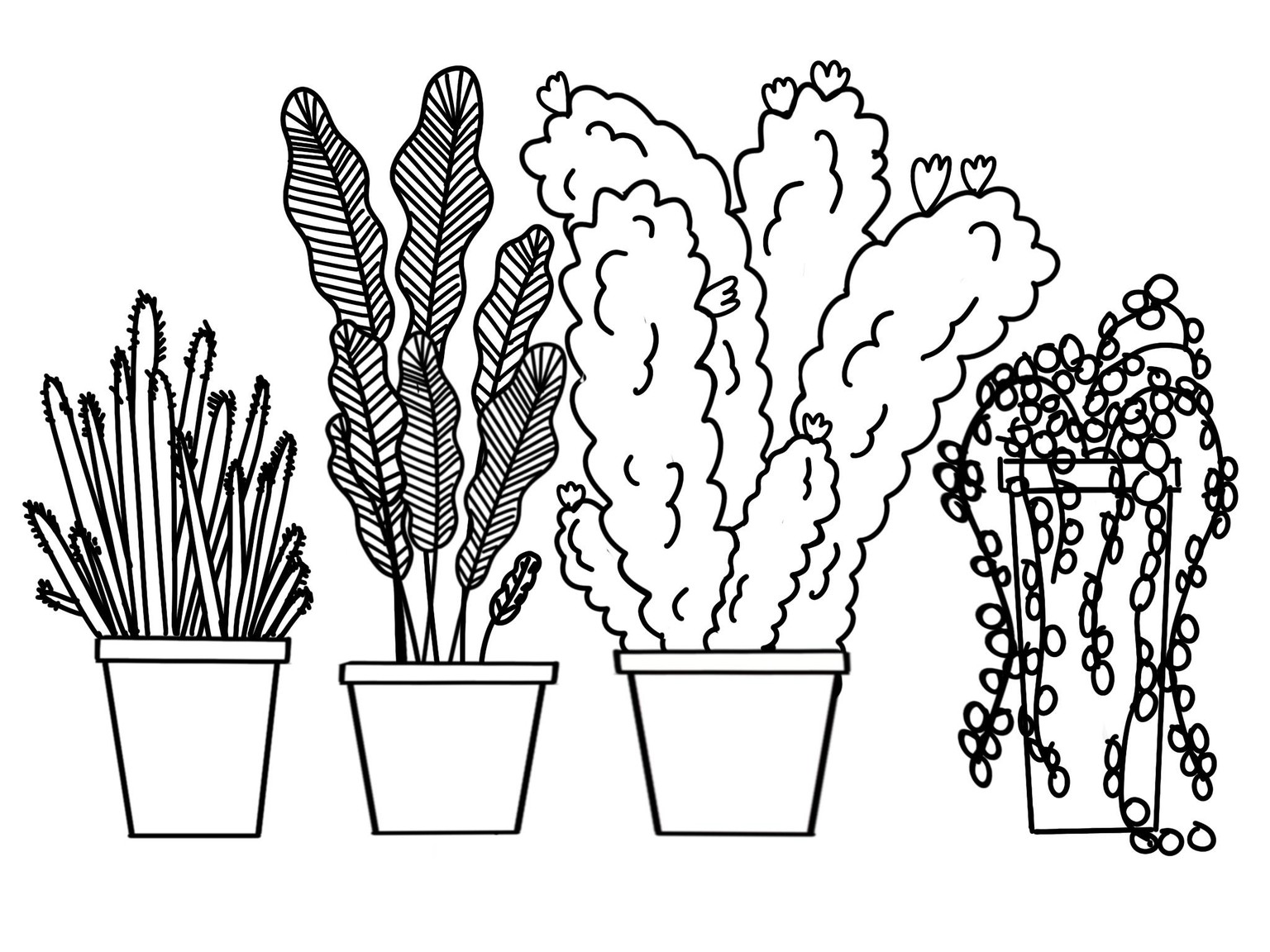Plants ' - image 5 - student project