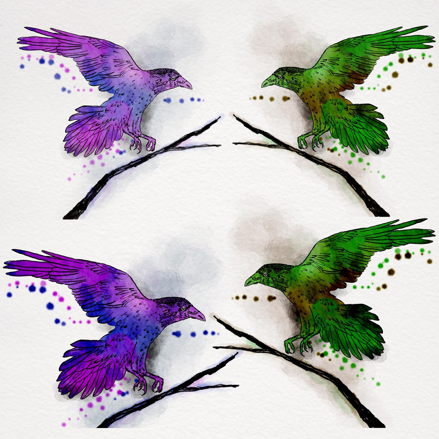 A raven - image 1 - student project