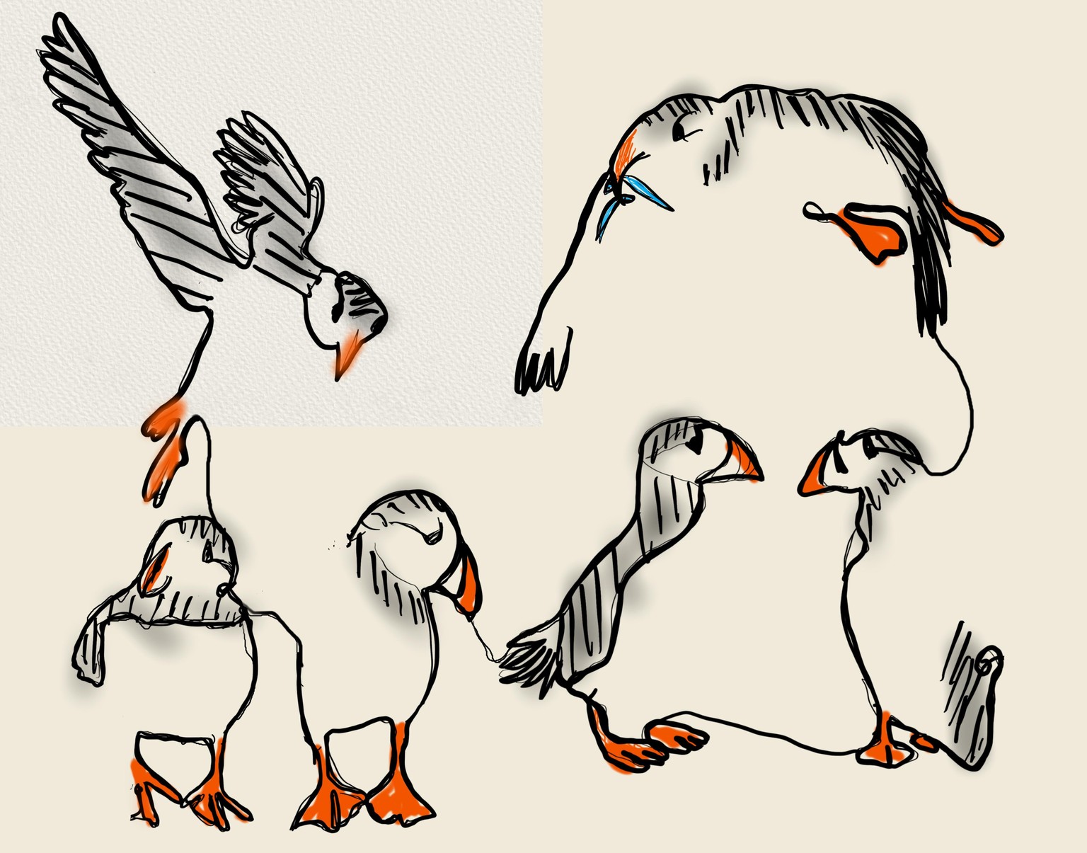 Portraits and birds! - image 3 - student project