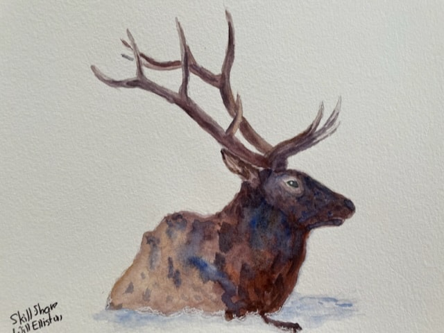 Stags - image 4 - student project