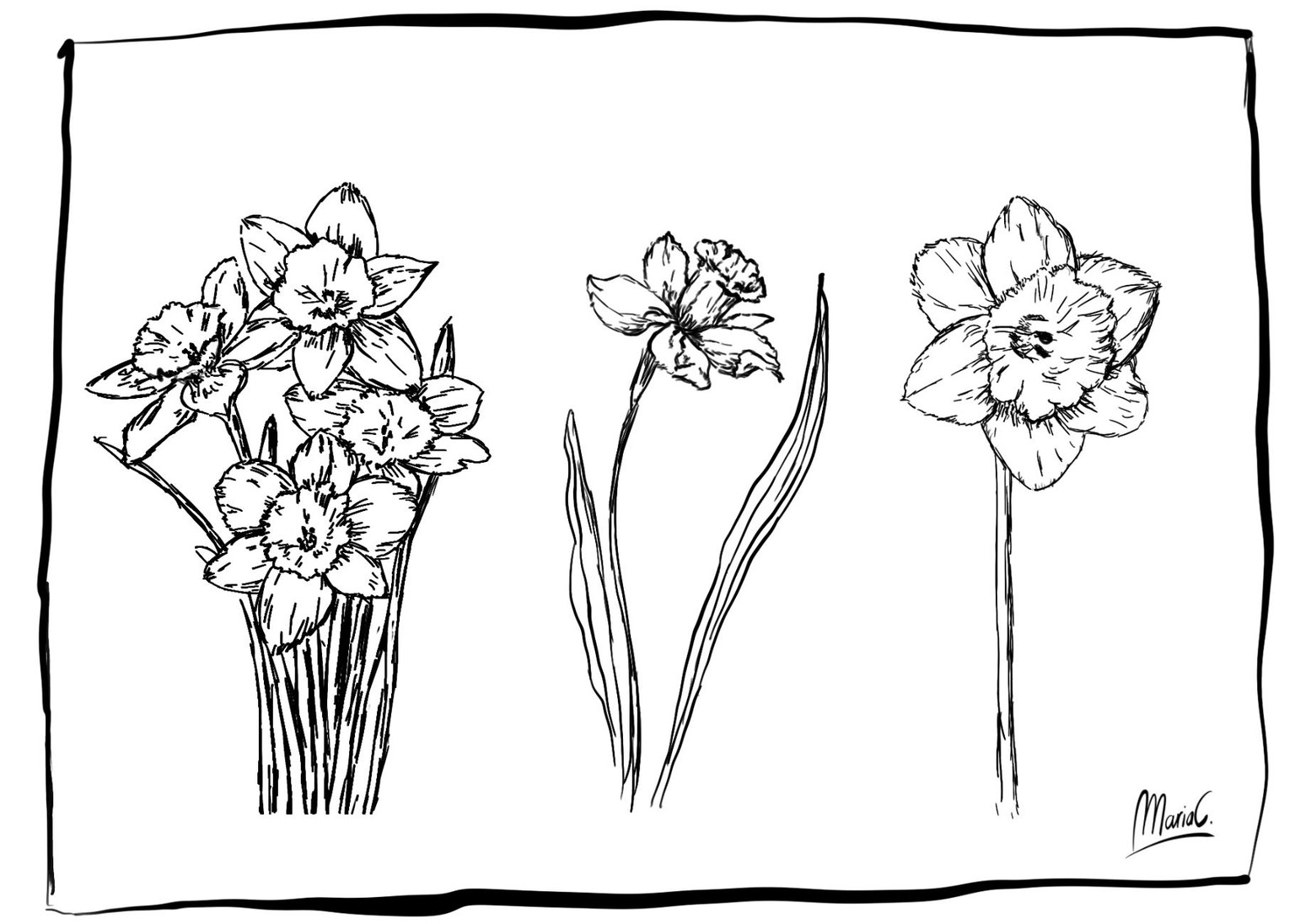 Ink flowers - image 1 - student project