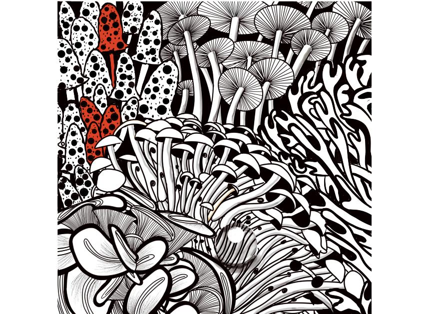 Home made zentangle patterns to relax - image 1 - student project