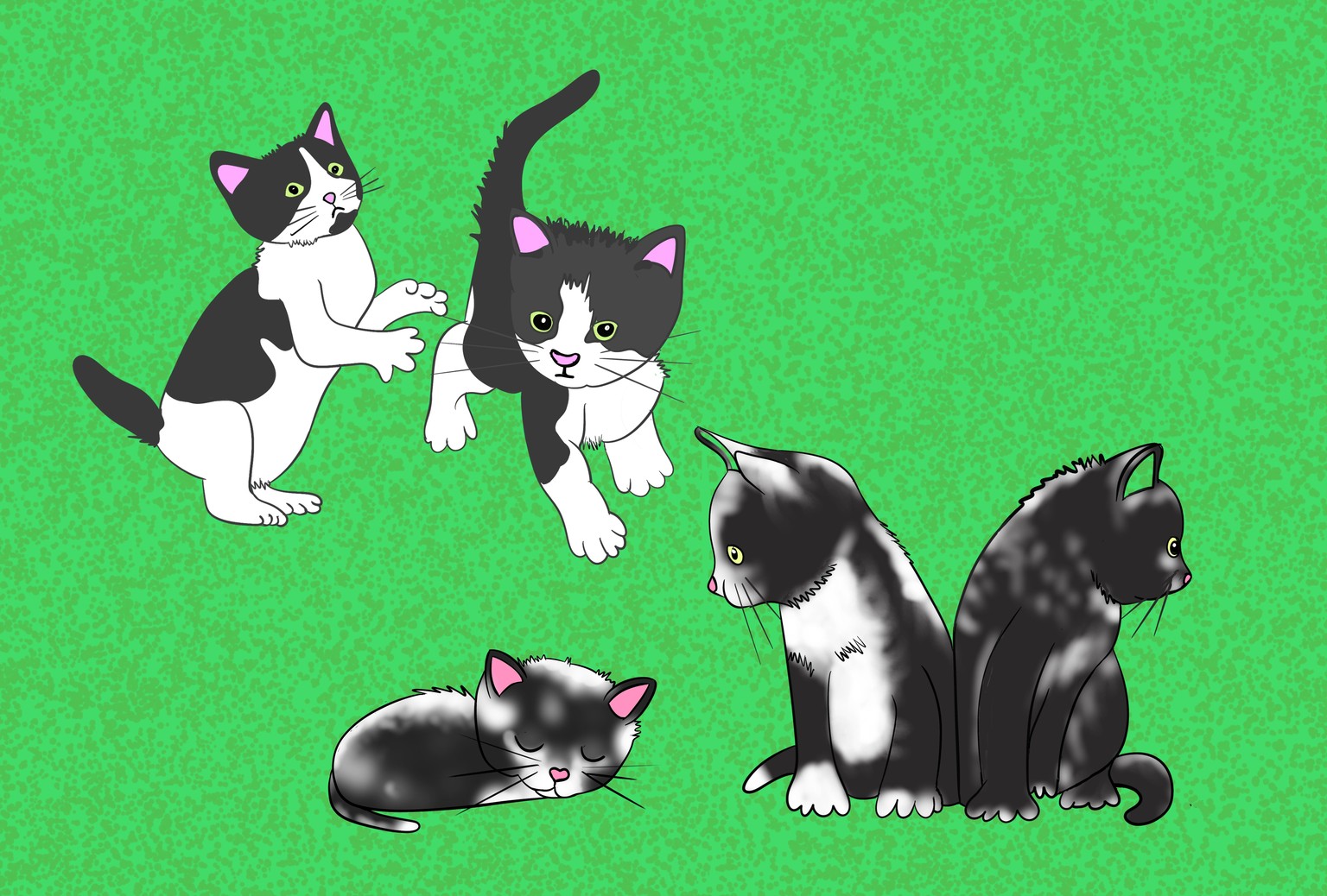Kittens: colored, whimsical and black/white! - image 2 - student project