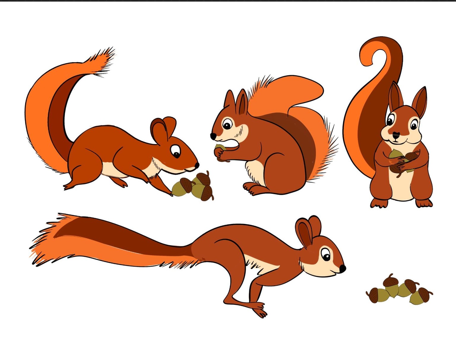 Squirrels - image 3 - student project