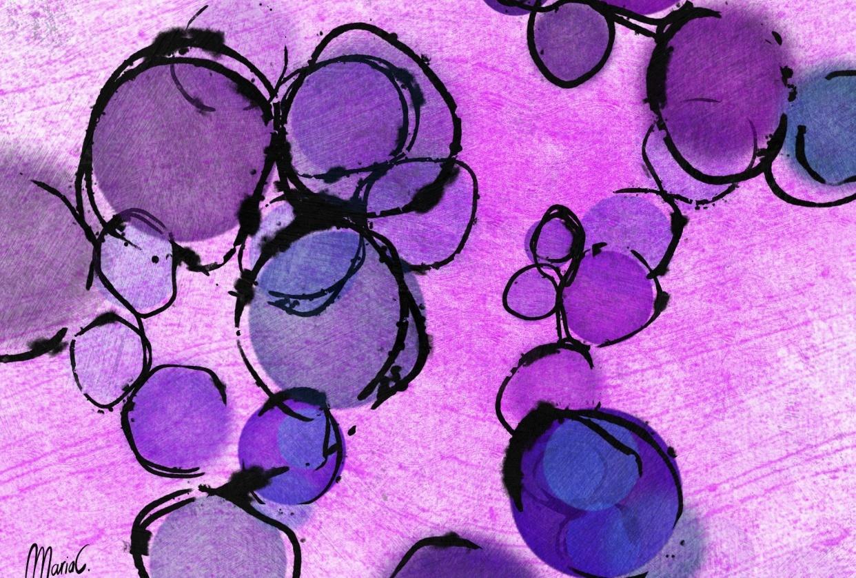 Fun!!! - image 2 - student project