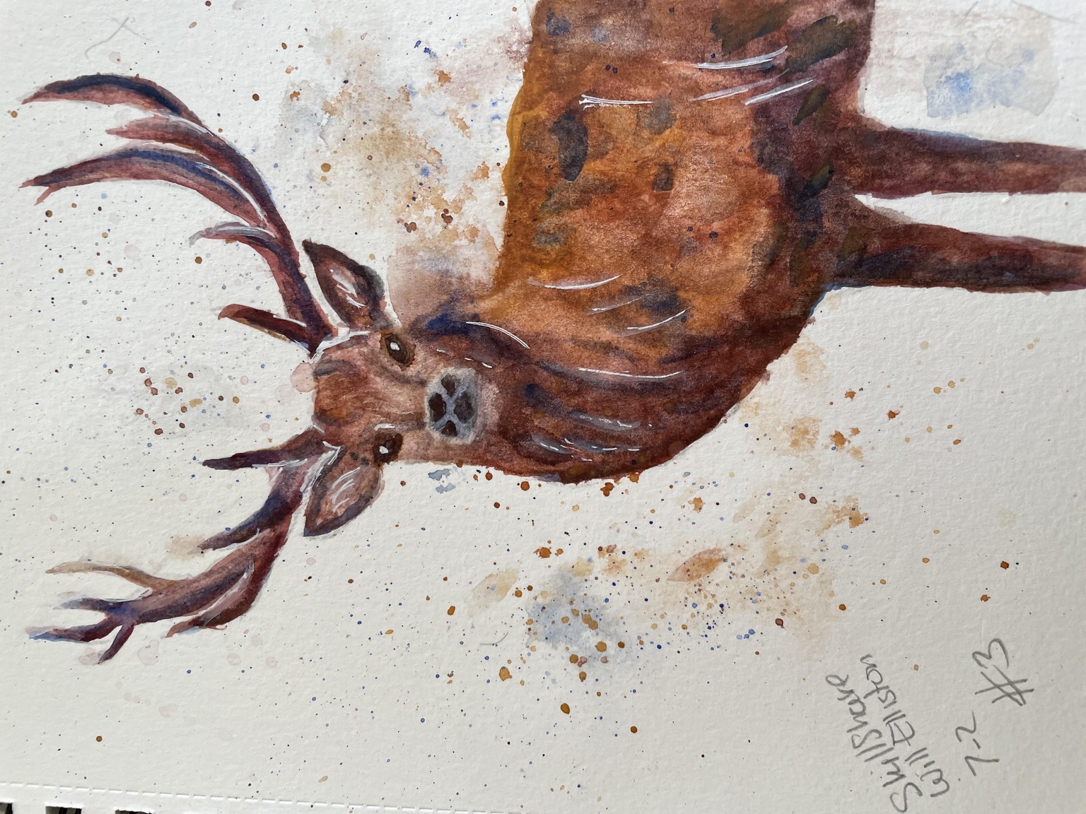 Stags - image 8 - student project