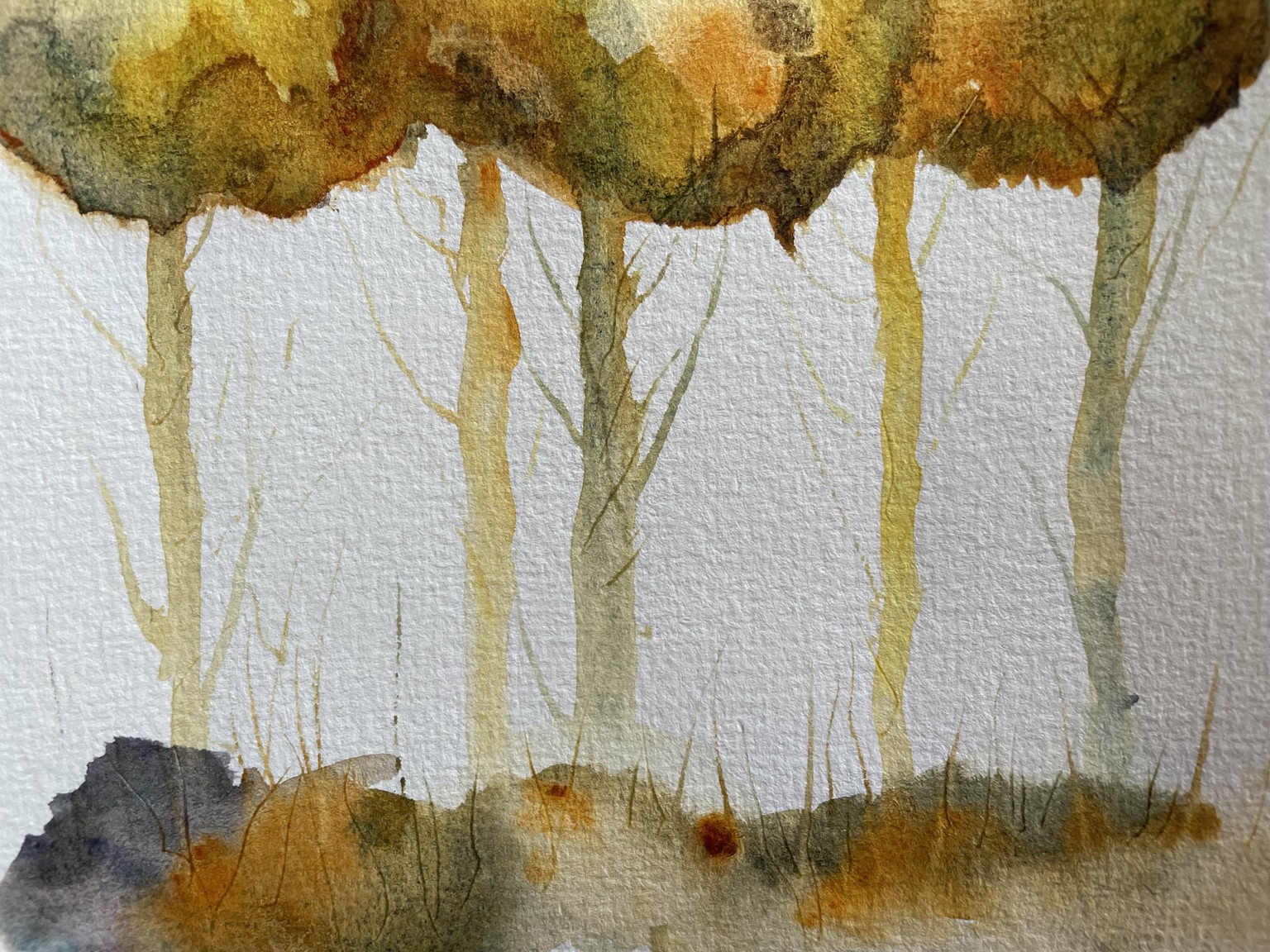 Trees - image 7 - student project